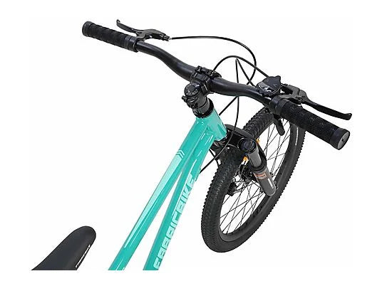 Bicicleta de Montaña Infantil FabricBike Terra 20″ – Aluminio, Suspensión Delantera, Frenos de Disco, 7 Velocidades S-Ride, MTB Niños 6–8 Años, Verde